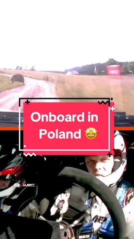 A blast from the past 🤩🇵🇱 #wrc #rally #motorsport #tanak #onboard