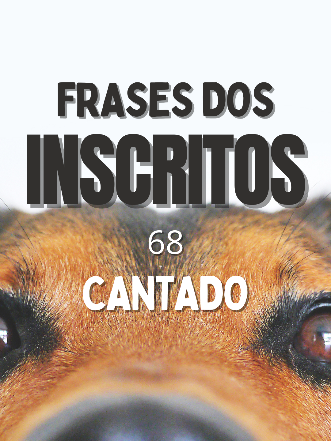 Frases dos inscritos 68