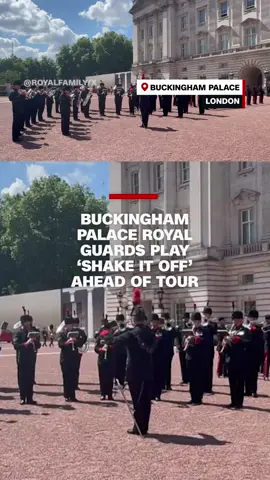 Royal guards played Taylor Swift’s 