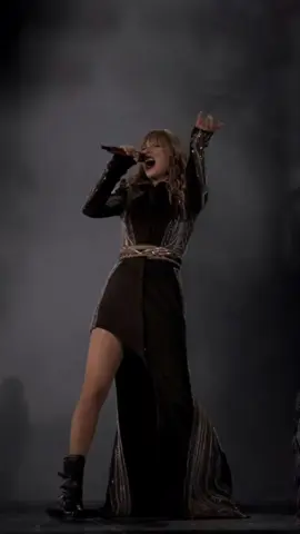 Don't blame me - Taylor Swift (Reputation tour) #taylorswift #dontblameme #reputation #music #fyp 