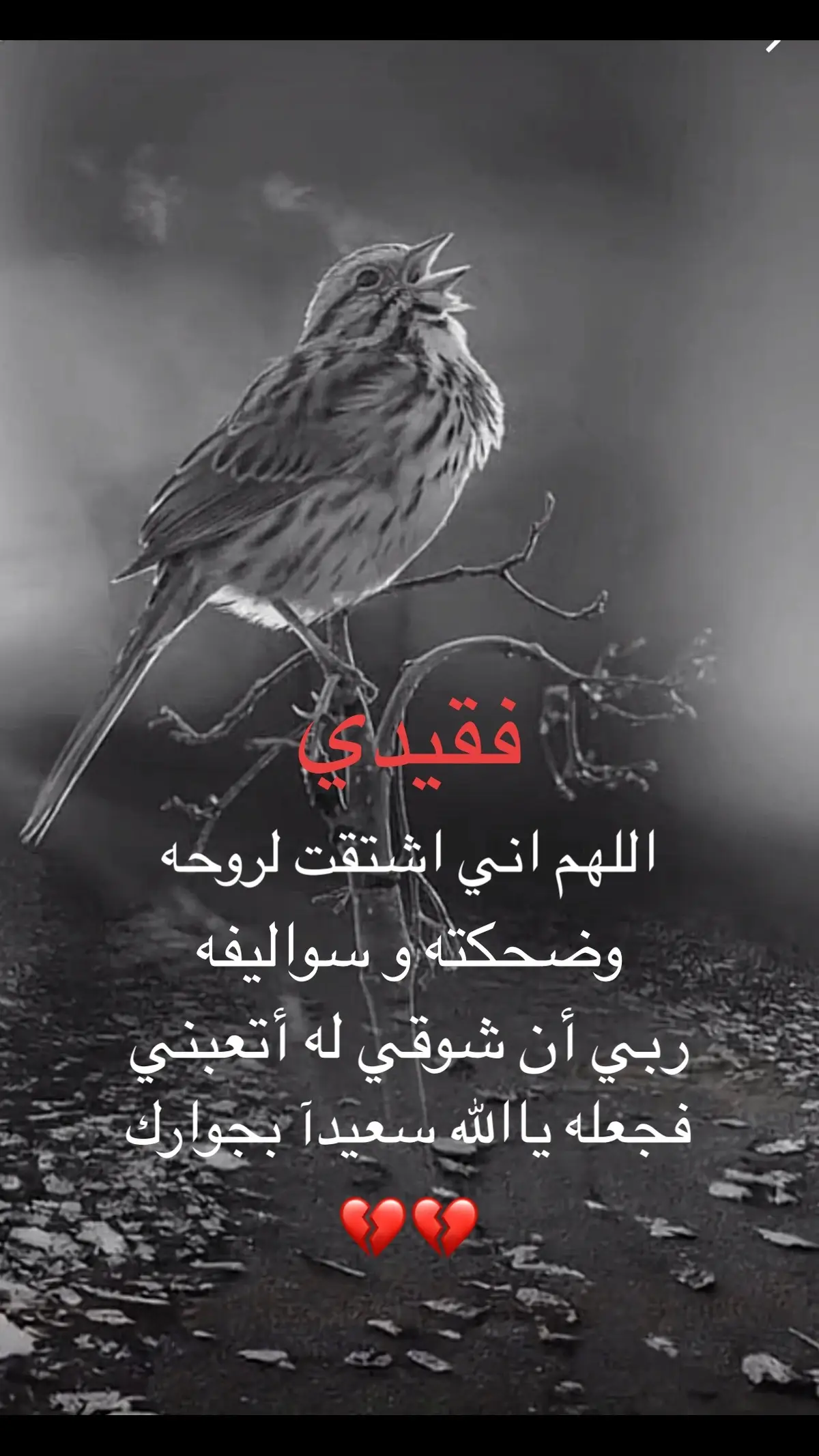 #احاسيس #خواطر #ابيات #مشاعر 