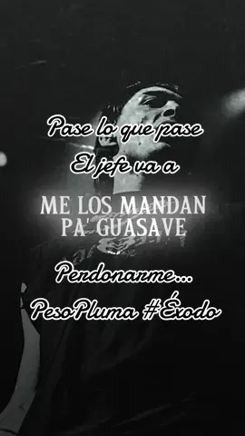14 - 14 † @Peso Pluma #ÉXODO 📸 @closrv #1414 #pesopluma #raulxc #lyrics #exodo 