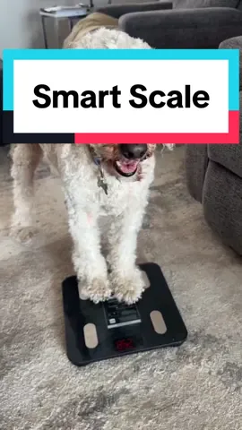 I love this smart scale so much #fyp #ttshop #tiktokshop #smartscale #scale 