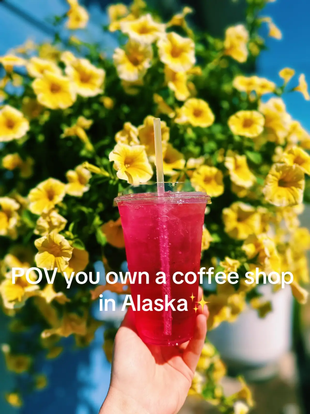 #coffee #coffeetiktok #coffeeaddict #icedcoffee #alaska #foryou #summervibes #popular #fyp #viral #matcha #matchalatte #explorealaska #explore #travel #Summer #girlboss #owner #coffeeshops #dream #post #summerlove #espresso #espressotiktok #vibe #energydrink #summersolstice #weekend #friday 