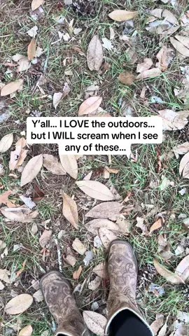 Y’all can laugh at me all you want 🤣 I’m dramatic, yes I know!! I DO NOT mess with snakes 🐍 I don’t care what kind they are, it could be a “friendly” one from the pet store & I still won’t touch it.  I LOVE the outdoors - y’all know this - but NOPE, I see a snake during my hunts and hikes and I turn into a scared little toddler 👶🏻 This slithy sucker is non-venomous, but we have so many venomous snakes on our property (hence the snake grabbers that we keep handy at all times), so I treat each one as venomous.  🌲 I expect to see snakes when I’m in our woods or on the back trails of our property, but this big guy was right near my tunnel - where I grow our food - and nearby is the hammock (that between the kids and me, someone is usually always in) 😬  I know some snakes are great to have on the farm, but we have baby chicks and ducklings that free-range this area, and our coop and nesting boxes are nearby, so we relocated him, safely ✌🏼 ⁉️ I’m okay with letting y’all in on one of my biggest fears… what’s yours?!?! ⁉️ #snake #homestead #farmlife #nope 