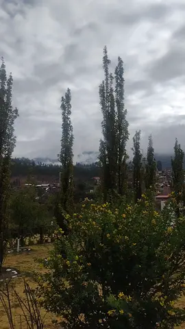 Sólo importas tú - Franco de Vita Lo siento, si en tu lugar ya he puesto a otra Era solo parte de este juego Y mientras yo jugaba, tú ibas en serio Yo fui tonto y no lo niego Mis aires de importante Y me doy cuenta ahora #paisajeshermososconmúsica #paisajesnaturalesconmúsica #música #paisajeaesthetic #tavi_sptia #longervideo #letrasdecanciones #lyrics #soloimportastu #tendencia 