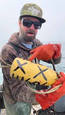 WolfFish, Barnacle Chronicles & Brown Rockfish. California commercial Northern Rock Crab, running crab traps on the Friendliest Catch boat Santa Cruz, California. #fyp #crab #crabs #bigfish #seafood #seafoodlover #rockhold #saltwaterfishing #fishing #commercialfishing 