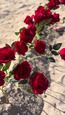 The surprise was worth the wait! #engagement #engaged #proposal #proposeday #fypage #roses #marriage #surpriseproposal #engagementday #Relationship #shesaidyes