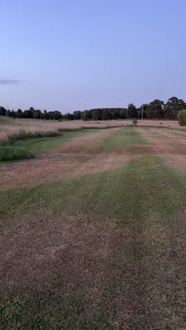 Broad leaf weed killer … 🤨