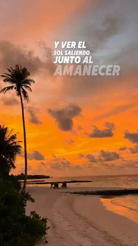 Junto al amanecer 🌅  #Edit #musica #fyp #playa #juntoalamanecer  #paratiiiiiiiiiiiiiiiiiiiiiiiiiiiiiii #Viral #reggaeton #jalvarez #pr 