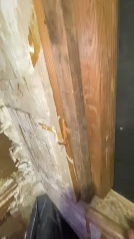 We found a hidden door in the shower!  part two At first i thought it was a window behind the tile walls and plaster. This is a old house with hidden rooms and secret passageways. While renovating we are discovering extra square footage!! ##thisoldhouse##inthewalls##coolplaces##house##extra##foryou##history##realestate##fypシ゚viral##part2##follow##storytime##treasurehunt##fyp##watchtillend