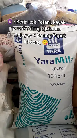 Ngeriii Kali Pacarmu Mbak 😁😁 #capcut #petanimuda #petaniindonesia🇮🇩🇮🇩🇮🇩🌿🌿 #pupuk161616 #pupukyaramila1616 #fyp #fypシ゚viral #fypage #xybca #bagusmakmursolusinyapertanian #terdekatterlengkapdanterpercaya 