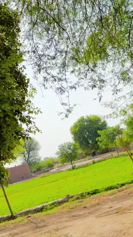 Well come Tipo Ayyan goat farm#ayyangoatfarm #mashallah #ayyangoatfarm🐐🐐 #goatlover❤️❤️ #Heer #raisbilal398 ##آیان #آیان #foryoupage @Kaka Goat Farm 🐐 @🆂🅸🅳🅷🆄 🅶🅾🅰🆃 🅵🅰🆁🅼 @Qaisarbaloch4️⃣ 