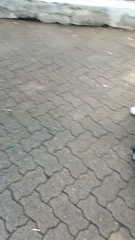 zio sibuk ngawal de bayi, malah jatuh