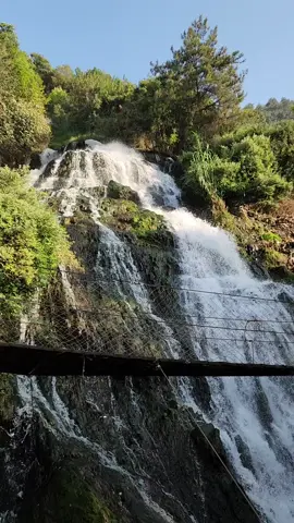 شلال #شلال_عيون_السمك #وائل_كفوري # #fypシ゚viral #fyp #bonjour #explore #اكسبلورexplore #foryoupage #viralvideo #pourtoi #waterfall 