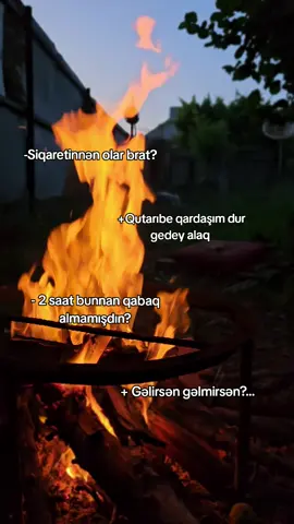 başa düşənə 👍... #keşfetteyizzz #qruzvar #qruz #kəşfetazərbaycan #tutdalaa🥴🌹 #fyp 