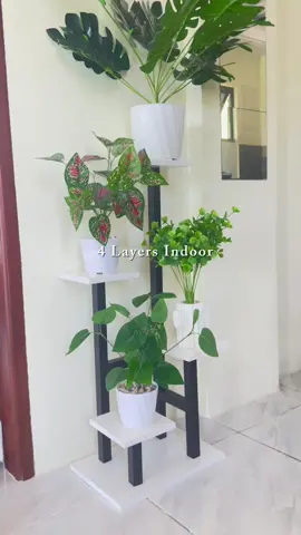 4 layer plant rack. Ang sarap sa eyes 🪴🍃🌱#plantstand #homedecor #homedecorationideas#tiktokfinds#fyp 