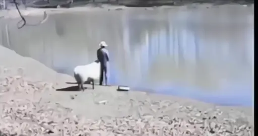 }