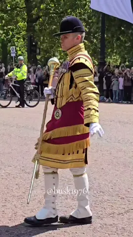 Senior drum major #kingslifeguard #policehorse #metpolice #fyp #horseguardparade #horse #horse Band of the Irish Guards  Band and Bugles of The Rifles  1st Battalion Welsh Guards