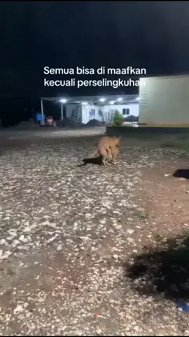 jadi ribut kan😂🤣 sampai sini pahamkan😊#fyp #video #viral #kalimantanselatan 