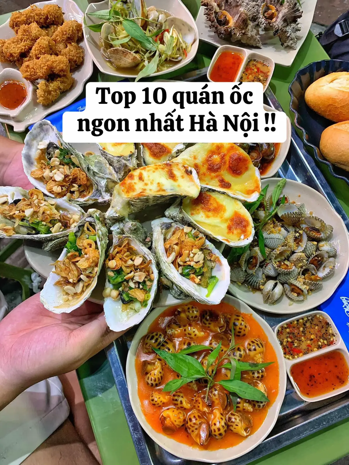 Team mê ốc đã thẩm hết 10 quán ốc nổi tiếng này chưa nhỉ ?  Quán nào số 1 trong lòng bạn 😆😆 #vivuhanoi #hanoi #ocngonhanoi #ốc #ochanh #ochatrang #ốcnamđồng #food #hanoifood #angiodau #phocohanoi #hanoididau #xuhuong 