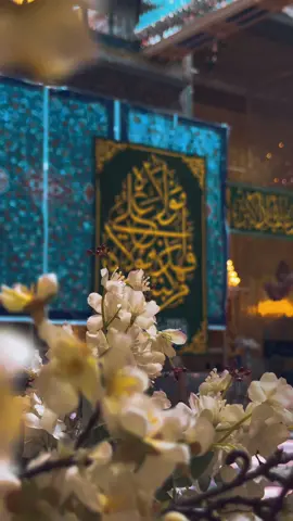 السَّلامُ عَلَيكَ أيُّهَا الصِّراطُ المُستَقيمُ #علي_صراط_حق #عيد_الغدير #غدير_خم  #العتبة_الحسينية_المقدسة   #مدينة_الإمام_الحسين_للزائرين  #المركز_الإعلامي