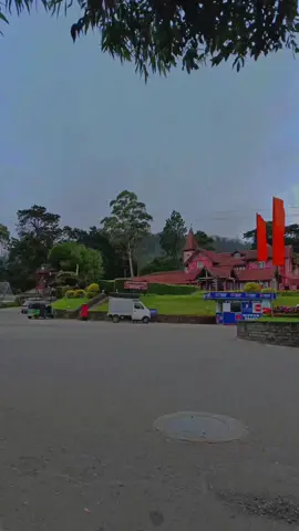 For you 🤍💐 | #quotes #nature #fypシ゚viral #foryou #mr_alii_24 #foryoupage #1m #whatsappstatus #trending #asethetic #backgroundvideo #nuwaraeliya_srilanka 