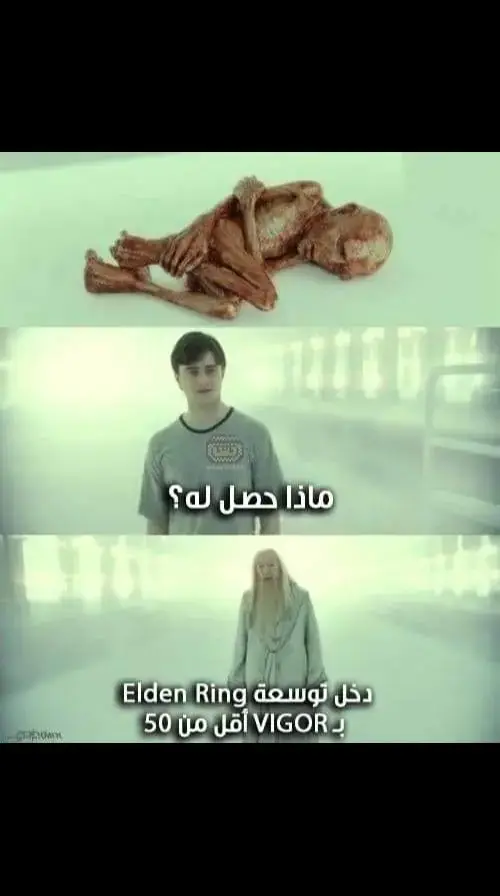 🥲 #eldenring #harrypotter #meme 