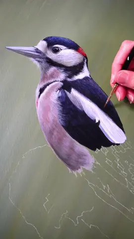 Currently on the easel 👩🏻‍🎨 🎨  #birdart #birdartist #birdpainting #woodpecker #woodpeckerpainting #wildlifeartist #realisticpainting #paintingtutorial #learntopaint