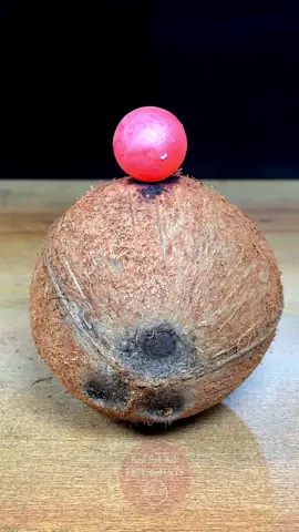 1000°C RHCB vs Cocunut + Cocunut Skin 🥥😱 What’s Next ? #satisfying #experiment #science #asmr #foryou #redhotballvs #usa #tiktok #fyp 