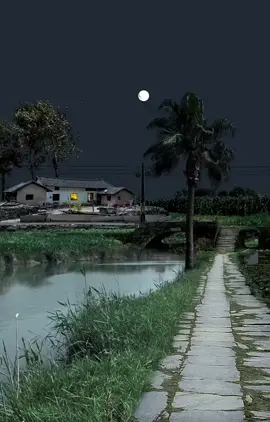 Miền quê yên bình #🍃annhien🍃 #quetoi #kyucxua #tuoitho8x9x #langque #quehuong #binhyen #hoainiem 