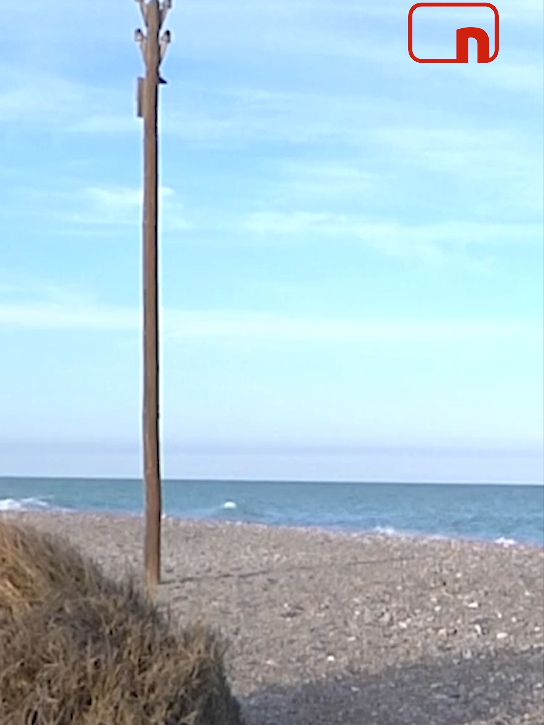 El cambio climático, la subida del mar y las construcciones humanas harán desaparecer la mitad de las playas del mundo en un siglo: En valencia han perdido un 70% de la superficie en los últimos 30 años. #noticiastiktok #noticias #news #noticiascuatro