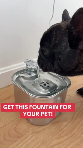 We love this water fountain! 😊🩵 #water #waterfountain #fountain #dog #dogs #pets #petwaterfountain #dogwaterfountain #catwaterfountain #drinkingwater #drinkwater #musthave #tiktokshop #petsupplies #petproducts #dogproducts #catproducts 