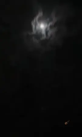 #CapCut 