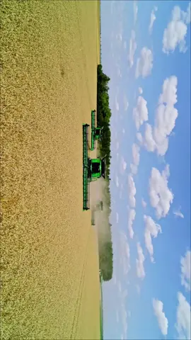 #JOHN DEERE X9 1100 S7 900 T6 800🦌🚜#COCECHA TRIGO🌱🌾#AGRONOMIA👩‍🌾👨‍🌾🐂🐅🐄🦁🐷🦆#AGROLUIS❤️🇧🇴🇺🇸🇨🇱🇨🇦#CAMPO DE LA COCECHA AGRICOLA PARA EL MUNDO ENTERO🌍🇺🇸🇺🇸