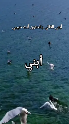 #أبني 