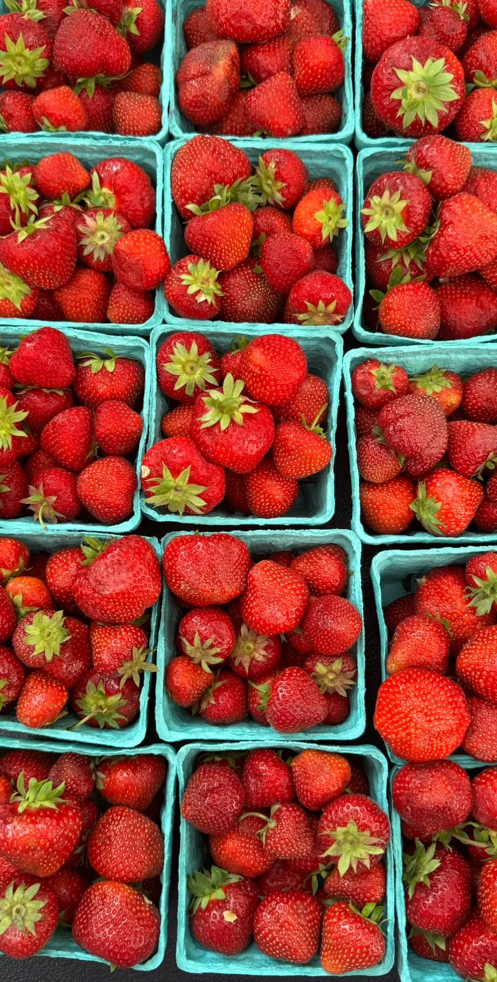 swipe to the end, there is my summer breakfast 🍋🫐🍓🍒🥖 #saturdaymarket #saturdaymorning #weekend #weekendroutine #farmersmarket 