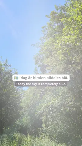 Aprendendo Sueco @strawberryswedish #tiktok #idiomas #brazil #expressões #sverige #expressões #duolingo #knowledge #skellefteå #foreigner #aprender #language #LearnOnTikTok #speak #swedish #umea 