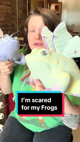 I’m so scared for these frogs.. I wanted to share each of the sculptures before the clear glaze saturates the colors. It’s fun for me to see how the underglaze painting changes in the kiln after the glaze firing. But I still have two more luster firings for these pieces after that! These toads are going to be so shiny and iridescent and I can’t wait! 🌈🐸✨ #ceramicprocess #potterystudio #rainbowart #frogcore #fairycoreaesthetic #fairycore #artisttears #clay #toadsoftiktok #reveal 