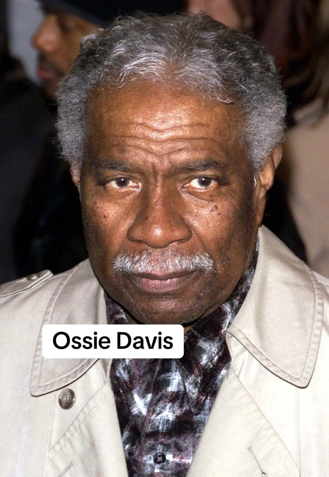 He was an actor, director, writer, and activist, was married to Ruby Dee, with whom he frequently performed. He received numerous accolades including a Grammy Award and a Writers Guild of America Award as well as nominations for five Emmy Awards, a Golden Globe Award, and Tony Award.  Davis was inducted into the American Theater Hall of Fame in 1994 and received the National Medal of Arts in 1995, Kennedy Center Honors in 2004 Davis started his career in theatre acting with the Ross McClendon Players in the 1940s. He made his Broadway debut acting in the post-World War II play Jeb (1946). Davis's credits as a film director include Cotton Comes to Harlem (1970), Black Girl (1972), and Gordon's War (1973). He was nominated for a Golden Globe Award for Best Supporting Actor for The Scalphunters (1968). Davis also acted in The Hill (1965), A Man Called Adam (1966), Lets Do It Again (1975), School Daze (1988), Do the Right Thing (1989), Grumpy Old Men (1993), The Client (1994), and Dr. Dolittle (1998). For his portrayal of Martin Luther King Sr. in the NBC miniseries King (1978) he was nominated for the Primetime Emmy Award for Outstanding Supporting Actor in a Drama Series.  He was also Emmy-nominated for his roles in Teacher, Teacher (1969), Miss Evers' Boys (1997) In 1948, Davis married actress Ruby Dee, Davis was found dead in a Miami Beach hotel room on February 4, 2005. He was 87 years old. An official cause of death was not released, but he was known to have had heart problems. #rubydee #ossiedavis 