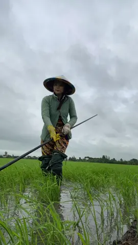Cả nhà đi ngang chào e gái thả tim út nha #giaitricungtiktok #utduyenhaihuoctrixiutiktok 