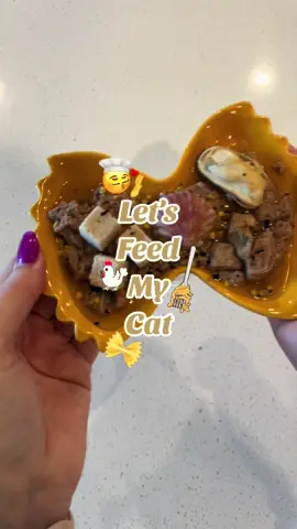 La cena è servita 👌🏼🍝  #catfood #catmom #pastaplate #michaels #catfoodtoppers #feedmycat Brands used 👇🏻 @Open Farm Pet @Skylar Treats @Remy’s’ Kitchen @Lonestar Pet Treats LLC @wulfsnacks  #CapCut 
