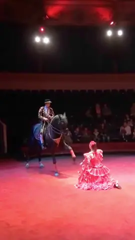 Amor #equitacion #equestrian #CapCut #horses #horse #horseriding #horsejumping #madrid 