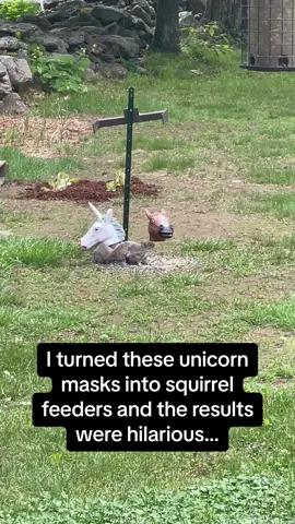 “Stop horsing around”, me and the boys: 🐿️ #RoadTo15Million #Pubity  (Laura Lee Diaries via ViralHog)