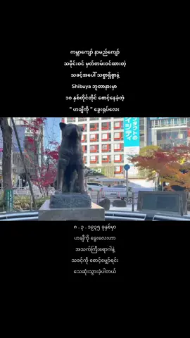 Hachiko Dog Statue ( faithful dog ) 🇯🇵 #Tokyo #Shibuya #Japan #Hachiko #Dog #Master #ပြည်ပရောက်ရွှေမြန်မာတွေ 