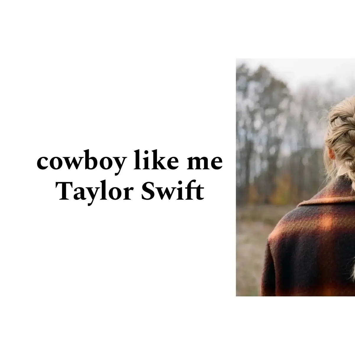 #cowboylikeme #cowboylikemetaylorswift #evermore #evermoretaylorswift #taylorswift #swifttok #fypp #foryou 