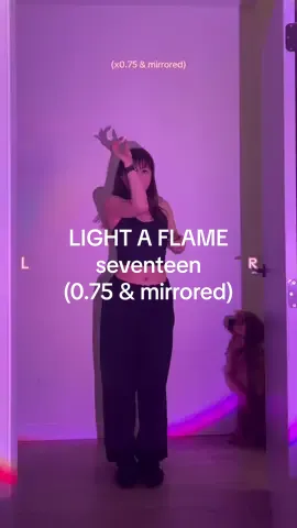 0.75 for those of you who asked! Any other songs i should do? 🥺 #seventeen #seventeen17_official #svt #lightaflame #lightaflamesvt #lightaflameseventeen #lightaflametutorial #calina @SEVENTEEN 