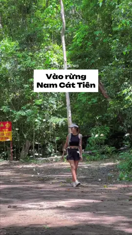 Replying to @Ba mẹ Gold Vào rừng Nam Cát Tiên chơi nhen #namcattien #namcattienationalpark #intheforest #vietnam 