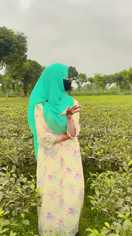 🌸❤️.... #viral #video #fyp #foryou #views #song #mahafujamoon #hijab #tiktok #unfrezzmyaccount 