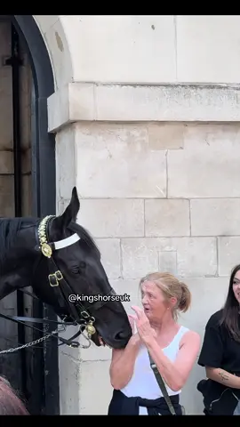 Whatever the Horse did, she asked for it and she wont be coming back soon! #fyp #foryoupage #viral #foryou #kingsguard #horse #london #horseguardsparade 